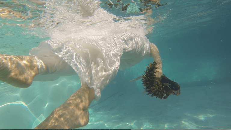 yeah yeah me fascina 9.png